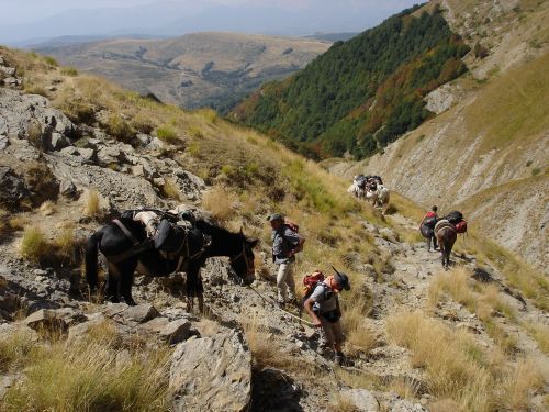 trekking con i muli-14.jpg